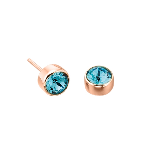 Bezel Setting Round Rose Gold Birthstone Lab Grown Diamond Earrings