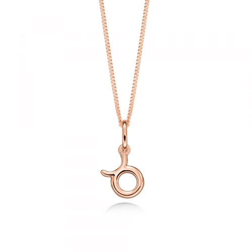 Rose Gold Taurus Zodiac Sign Personalise Pendant Necklace