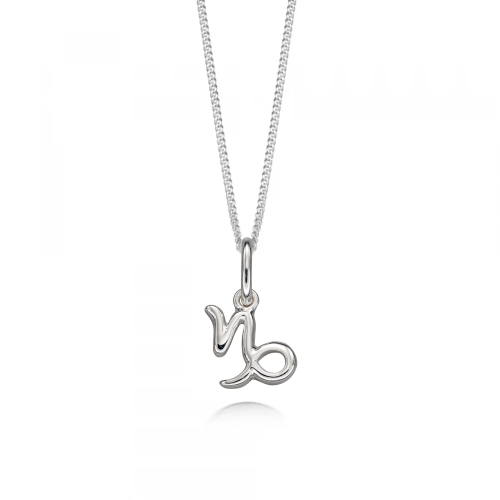 Capricorn Zodiac Sign Personalise Pendant Necklace