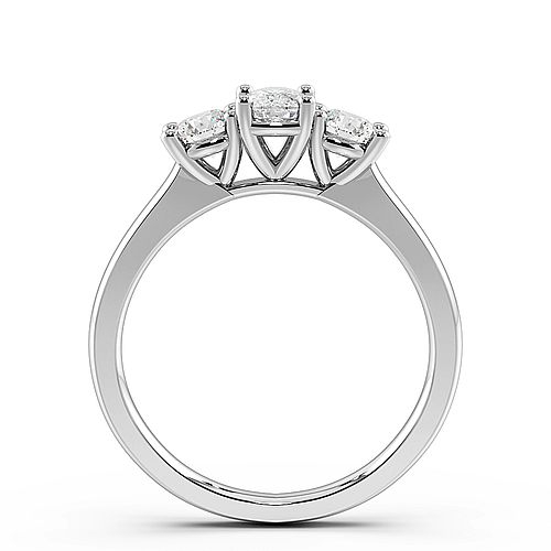 4 Prong Oval And Princess Raised Set Three Stone Diamond Ring